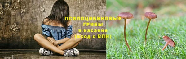 ALPHA PVP Краснослободск