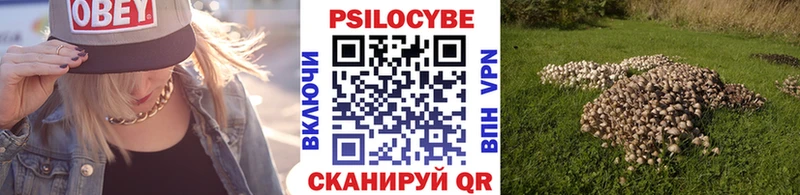 Галлюциногенные грибы GOLDEN TEACHER  купить наркотик  это телеграм  Хилок 